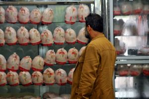 جدیدترین قیمت مرغ در بازار
