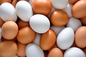 جدیدترین قیمت تخم‌مرغ، شکر و گوشت