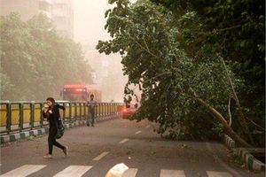 آلودگی هوا از شنبه برمی گردد