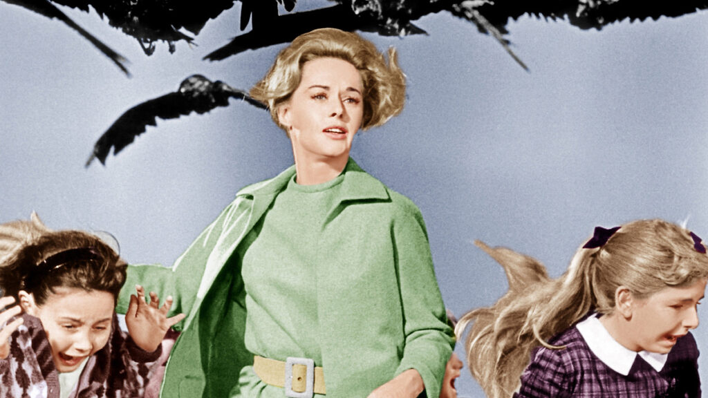 ۲۰ فیلم ترسناک که بر پایه داستان واقعی ساخته شدند_آفتاب شرق 97 The Birds