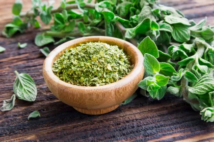 oregano tea