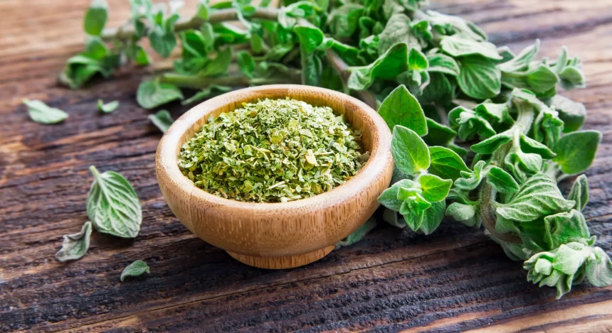 oregano tea