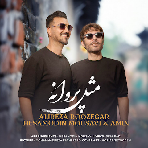 دانلود آهنگ من دلم میره واسه شب زنده داری از علیرضا روزگار