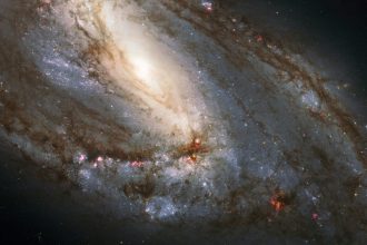 مسیه 66 که با نام NGC 3627 نیز شناخته می‌شود، درخشان‌ترین کهکشان از سه کهکشان سه‌گانه لئو است