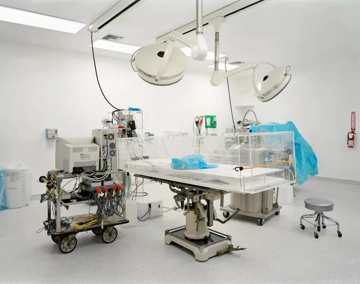 فرایند انجماد