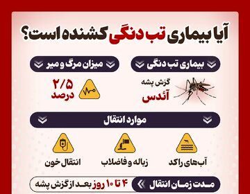 اینفوگرافیک/ آیا بیماری تب دنگی کشنده است؟