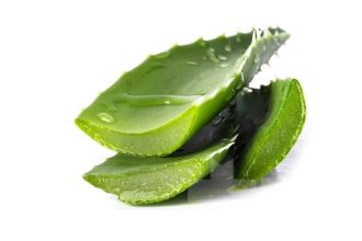 8-دارو-گیاهی-برای-معده-درد2