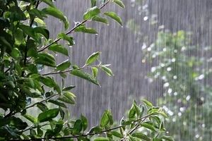 وضعیت دما و بارش کشور تا اوایل آذرماه