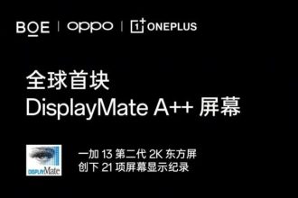 OnePlus 13