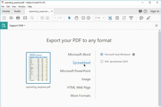 آموزش 2 روش ساده تبدیل PDF به اکسل با هر زبان + ترفندها