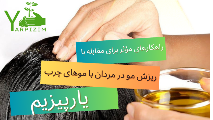 راهکارهای مؤثر برای مقابله با ریزش مو در مردان با موهای چرب با استفاده از روغن‌های گیاهی