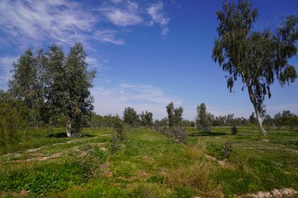 خیریه نیکان
