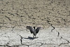 یک سازمان هواشناسی هشدار داد؛ نگرانی از خشکسالی در اروپا در پی گرمای بی سابقه