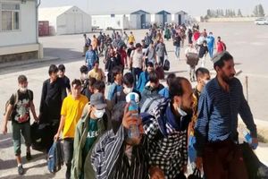طرح ضربتی جمع آوری اتباع غیر مجاز در دامغان