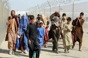 در پنج روز اخیر بیش از ۷۲ هزار اتباع غیرمجاز به افغانستان بازگشته‌اند