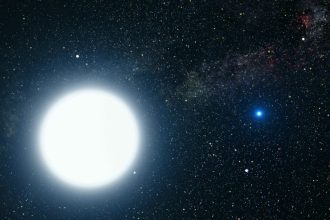 کوتوله سفید