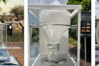 اسفنج خورشیدی برای تولید آب آشامیدنیاسفن