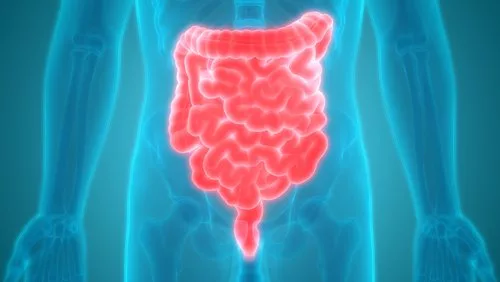 معارفه بهترین ویتامینها برای پارکینسون_آفتاب شرق 11 پارکینسون