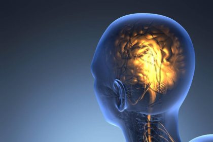 فعالیت عصب‌های بدن