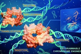 ویرایش کامل و بی‌نقص کروموزوم‌ها