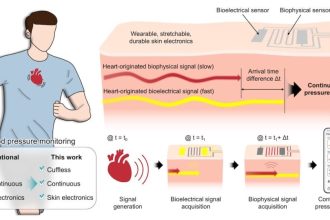 گسترش برچسب پوستی هوشمندی که سختی خون را با دقت اندازهگیری میکند_آفتاب شرق 7 توسعه برچسب پوستی هوشمندی که فشار خون را با دقت اندازهگیری میکند
