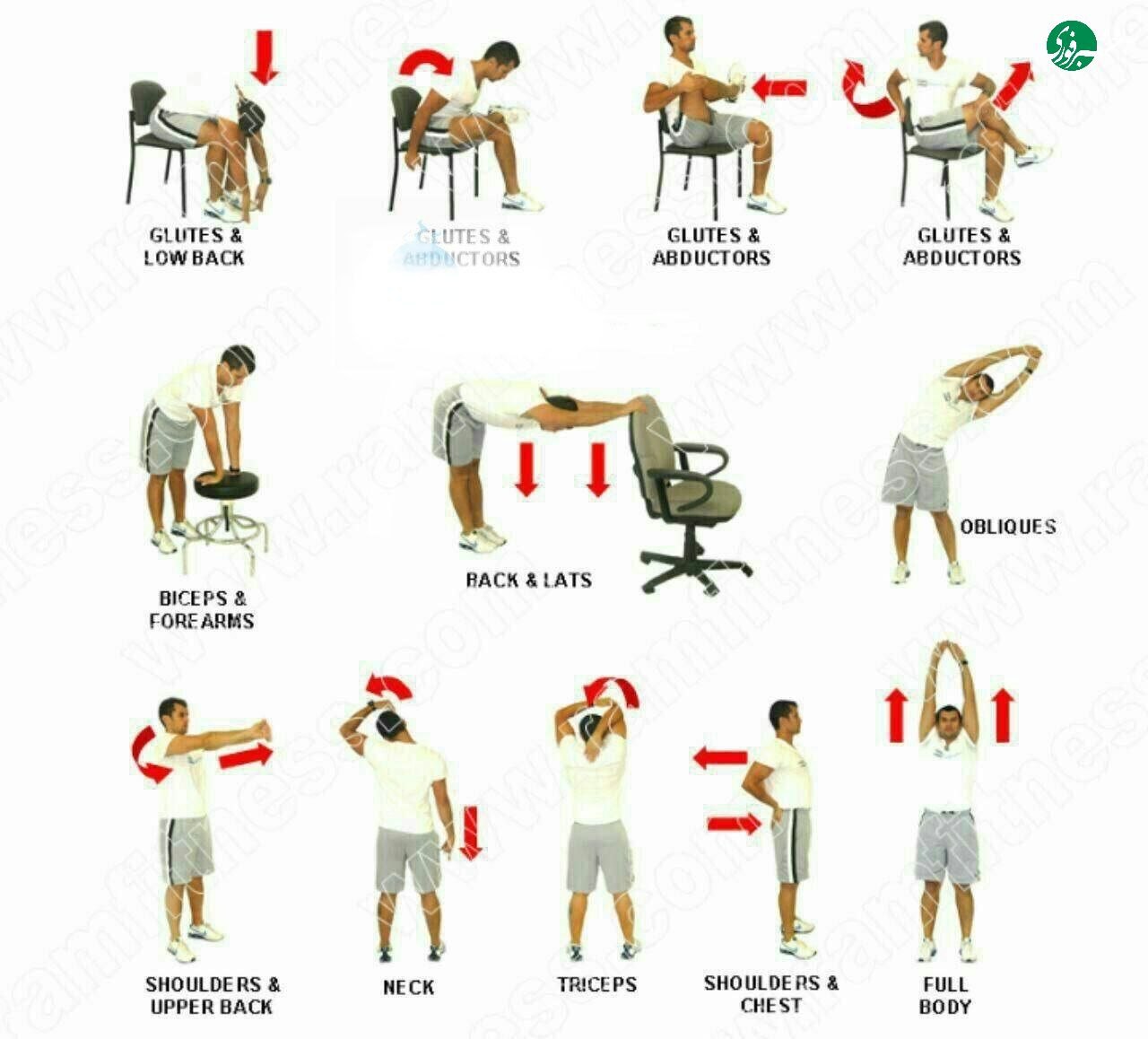 چند تمرین برای کارمندهای پشت میز نشین_آفتاب شرق 4 photo_۲۰۲۵-۰۸-۱۳_۰۷-۴۷-۴۷