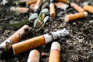 وقتی ته سیگار، آینه بی‌مسئولیتی می‌شود