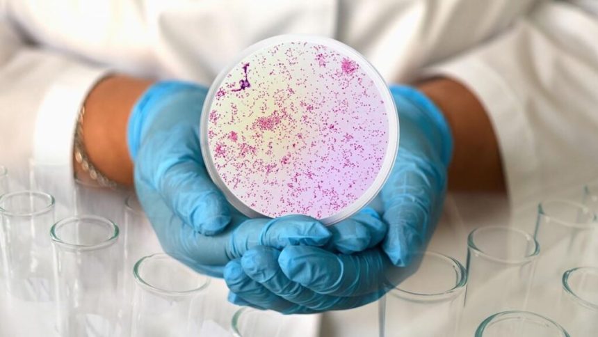 ساخت آنتی‌بیوتیک‌های جدید با هوش مصنوعی