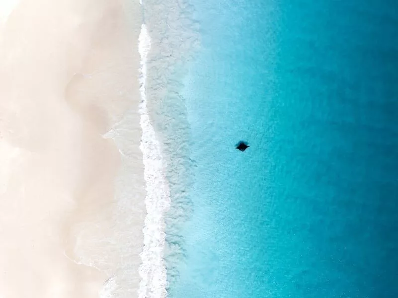 مسابقه عکاس اقیانوس 2025 / تصاویر هنری