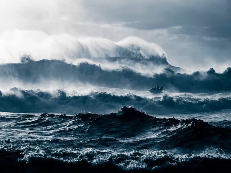 مسابقه عکاس اقیانوس 2025