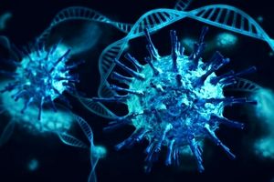 شیوع کرونا در میان زائران اربعین؛ ۴۰ درصد تست ها مثبت شد