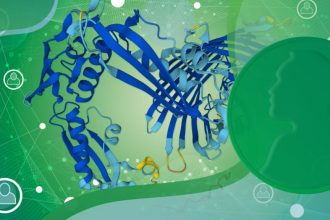 روزانه چقدر پروتئین نیاز داریم و آیا مصرف بیش‌ازحد آن مضر است؟