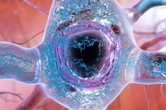 خطرات مصرف زیاد نمک برای مغز