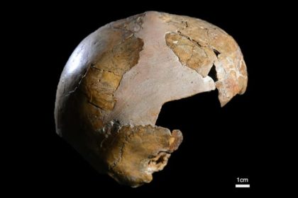 کشف قدیمی‌ترین مدرک آمیزش نئاندرتال ها و انسان مدرن در اسکلت