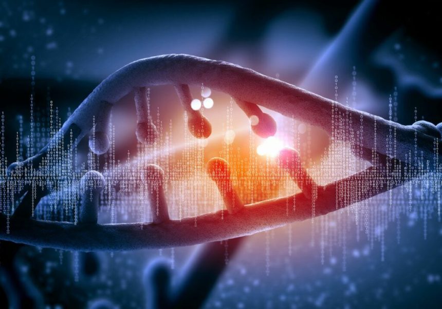 طول عمر انسان می‌تواند به 20 هزار سال برسد