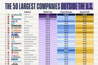 روزیاتو: ۵۰ شرکت باارزش غیرآمریکایی جهان در سال ۲۰۲۵؛ آرامکو عربستان در صدر + اینفوگرافی_آفتاب شرق 7 ۵۰ شرکت باارزش غیرآمریکایی جهان در سال ۲۰۲۵؛ آرامکو عربستان در صدر + اینفوگرافی