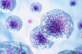 سلول ها برای جوان شدن «استفراغ» می‌کنند