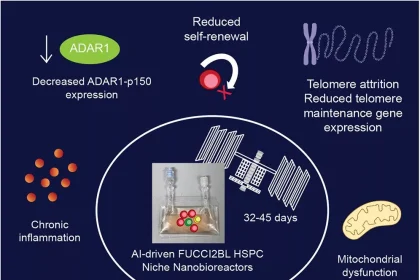 تأثیر فضا بر پیری سلول‌های بنیادی