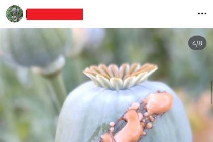 مواد مخدر , قاچاق مواد مخدر ,