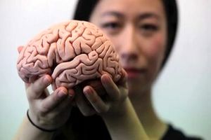 شش راهکار ساده برای تحکیم حافظه و سلامت مغز_آفتاب شرق 5 شش راهکار ساده برای تقویت حافظه و سلامت مغز