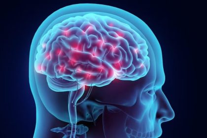 چربی مغز نقش مهمی در تشکیل آلزایمر دارد_آفتاب شرق 16 تأثیر چربی مغز بر آلزایمر