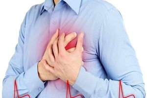 پیشنهاد های طب ایرانی برای تحکیم قلب_آفتاب شرق 7 توصیه های طب ایرانی برای تقویت قلب