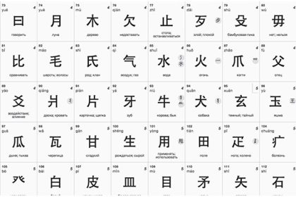 بهترین آموزشگاه زبان چینی 20 آموزشگاه زبان چینی
