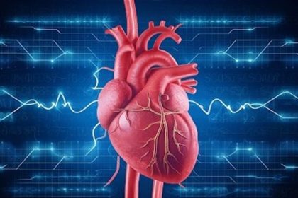 بهترین ورزش‌ها برای بهبود گردش خون/ خواب منظم تضمینی برای سلامت قلب