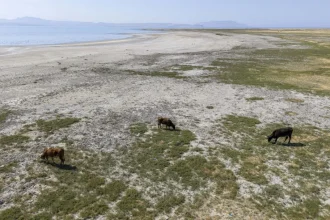 ایران رکورددار فرونشست زمین در دنیا_آفتاب شرق 9 ایران رکورددار فرونشست زمین در دنیا