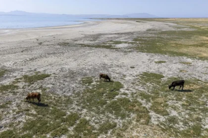 ایران رکورددار فرونشست زمین در دنیا_آفتاب شرق 4 ایران رکورددار فرونشست زمین در دنیا