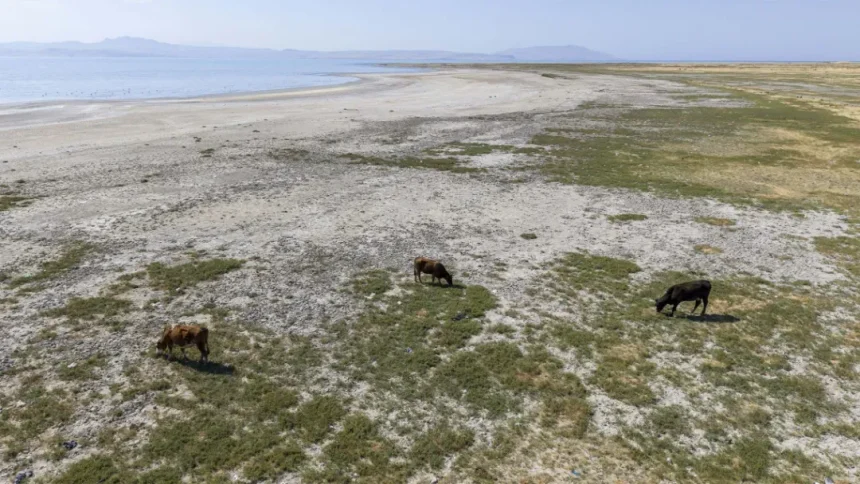 ایران رکورددار فرونشست زمین در دنیا