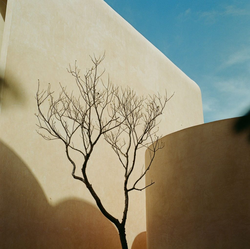 برندگان مسابقه عکاسی آنالوگ ۲۰۲۵ معارفه شدند؛ از قطب شمال تا گاتهام_آفتاب شرق 40 مسابقه عکاسی آنالوگ ۲۰۲۵