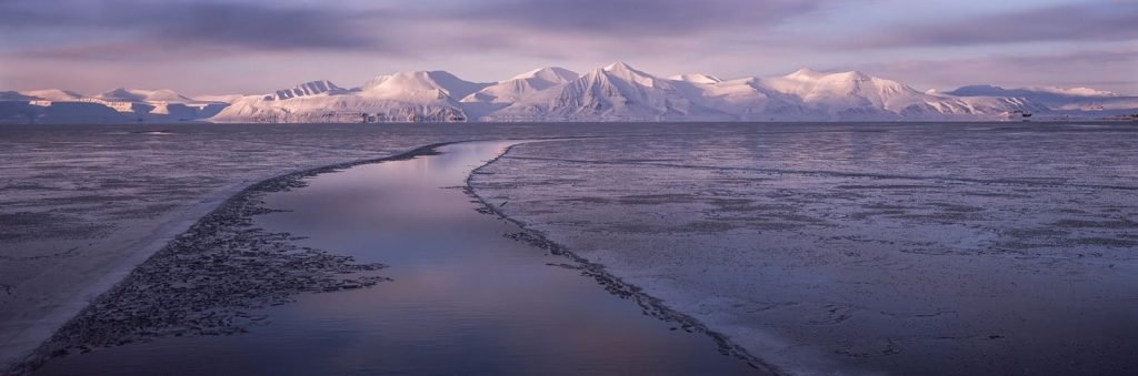 برندگان مسابقه عکاسی آنالوگ ۲۰۲۵ معارفه شدند؛ از قطب شمال تا گاتهام_آفتاب شرق 45 1759423449 448 برندگان مسابقه عکاسی آنالوگ ۲۰۲۵ معارفه شدند؛ از قطب شمال