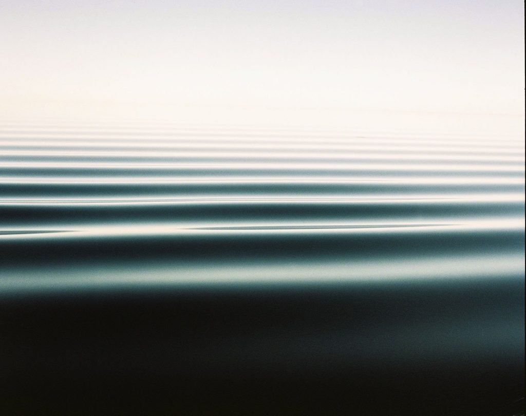 برندگان مسابقه عکاسی آنالوگ ۲۰۲۵ معارفه شدند؛ از قطب شمال تا گاتهام_آفتاب شرق 42 مسابقه عکاسی آنالوگ ۲۰۲۵